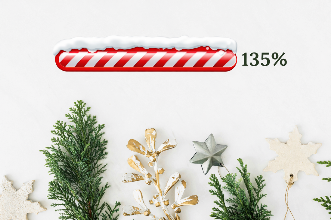 Festive progress bar at 135% with winter greenery and stars, celebrating surpassing the grant goal.