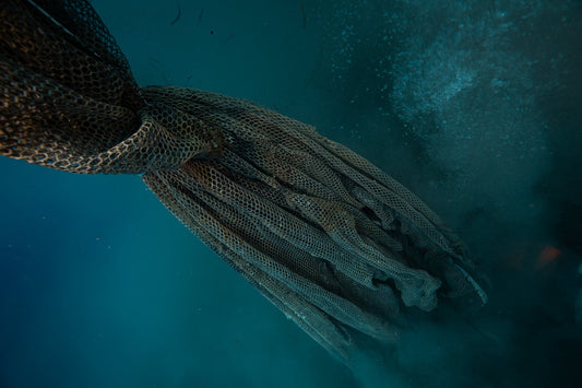 Abandoned fishing nets left on sea beds